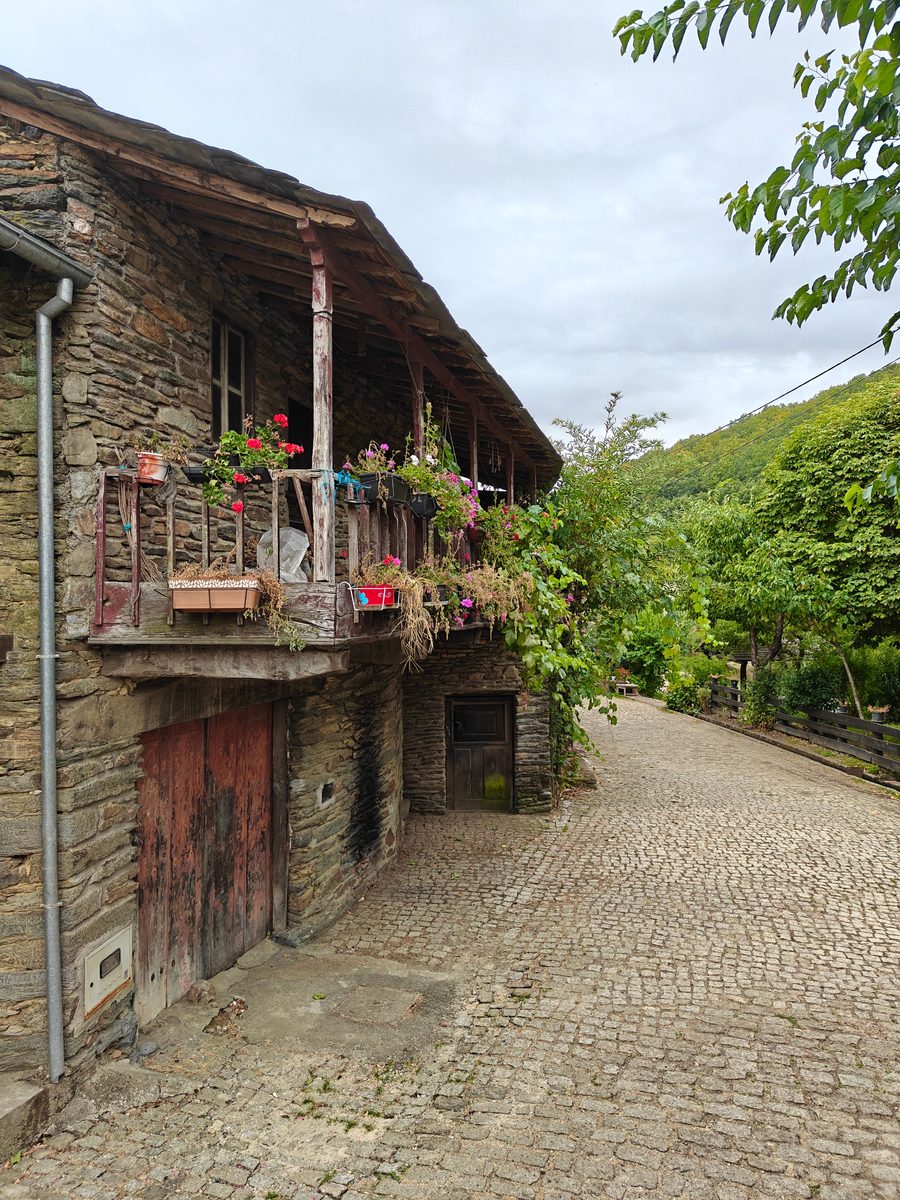 The village lane